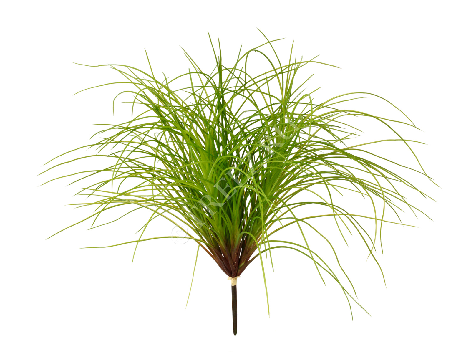 20.091404N Трава Оньон куст большой Цветочная коллекция 