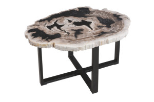 FUBR039 Приставной столик из окаменелого дерева ijlbrown