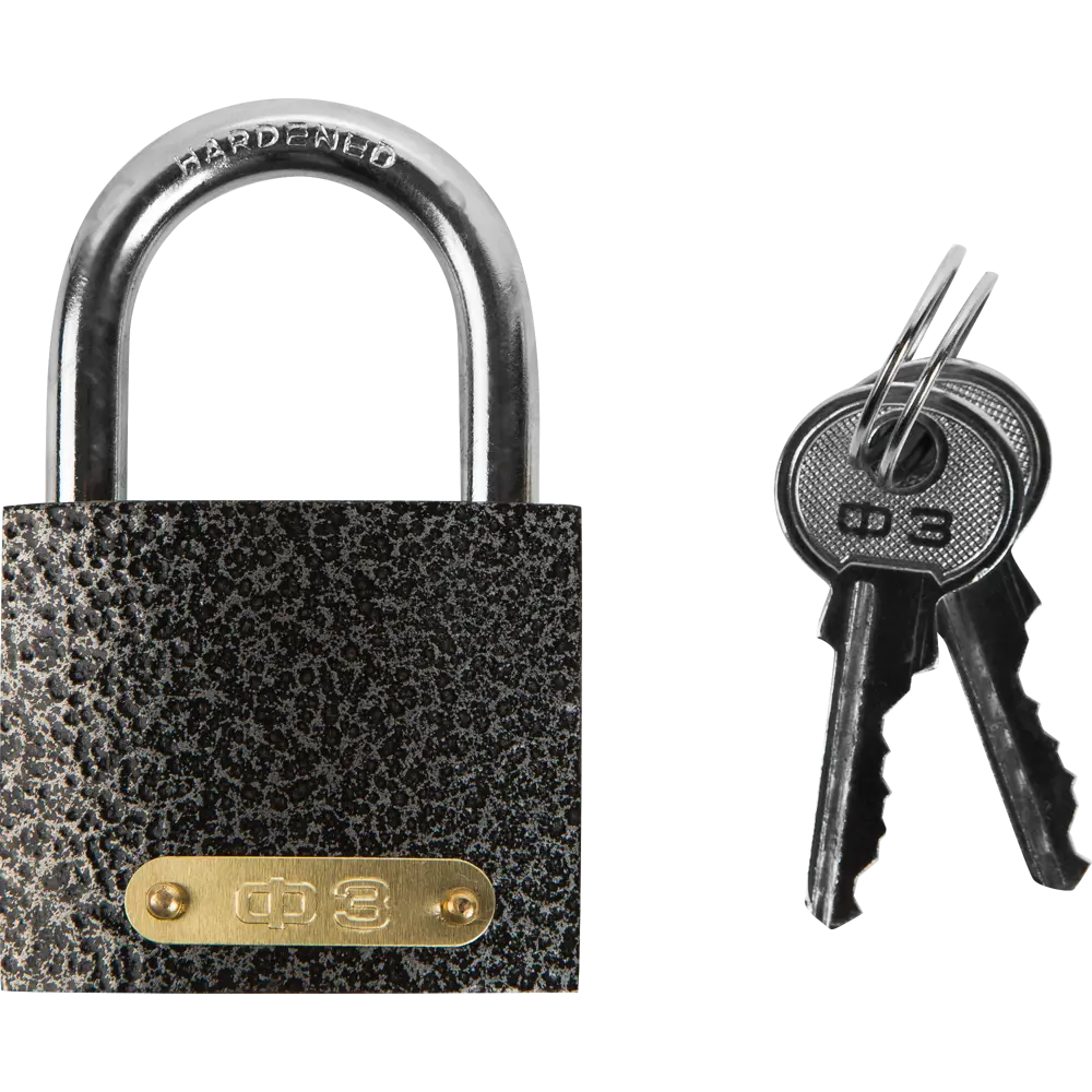 Набор навесных замков 303F-60 3P6K 63x48 мм, чугун Santreyd STLM-2151287 - Вид №3