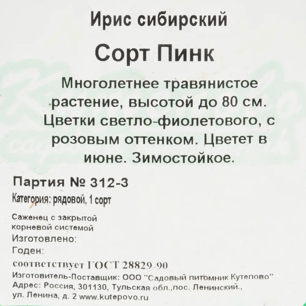 Ирис сибирский С1 «Пинк» 81954817 STLM-2123682 Santreyd  - Вид №1