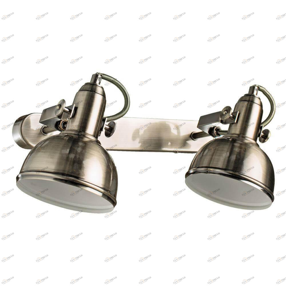 Спот потолочный на 2 лампы бронзовый Martin A5213AP-2AB ARTE LAMP MARTIN 00-3926153 Бронза 