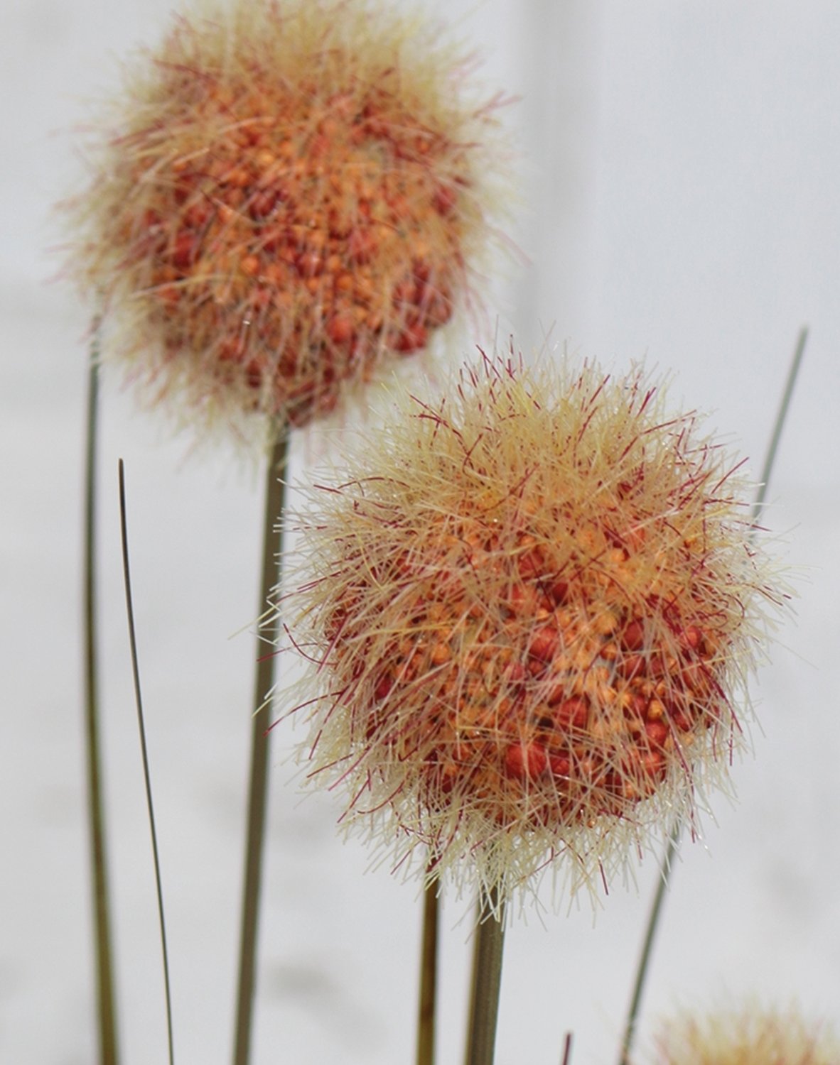 4945 608 a3 Мяч из искусственной травы, 75 см, коричнево-зеленый H-andreas  - Вид №8