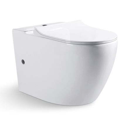 CX01008UW Компакт унитаз с бачком Белый Bravat Gina Турция - Вид №3