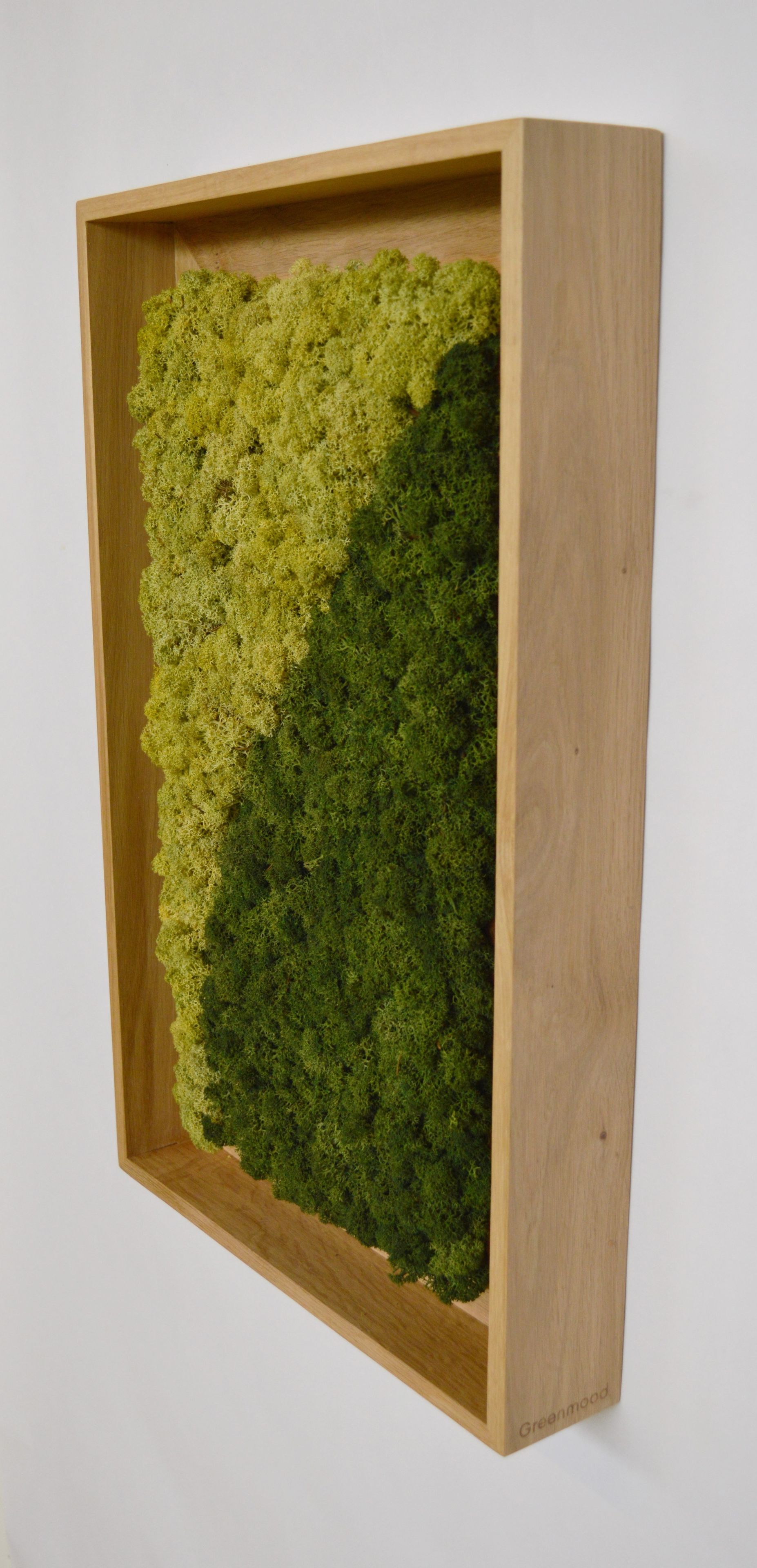 Акустическая панель из мха GREENMOOD FRAMED LANDSCAPE ARCH-00143245 - Вид №29