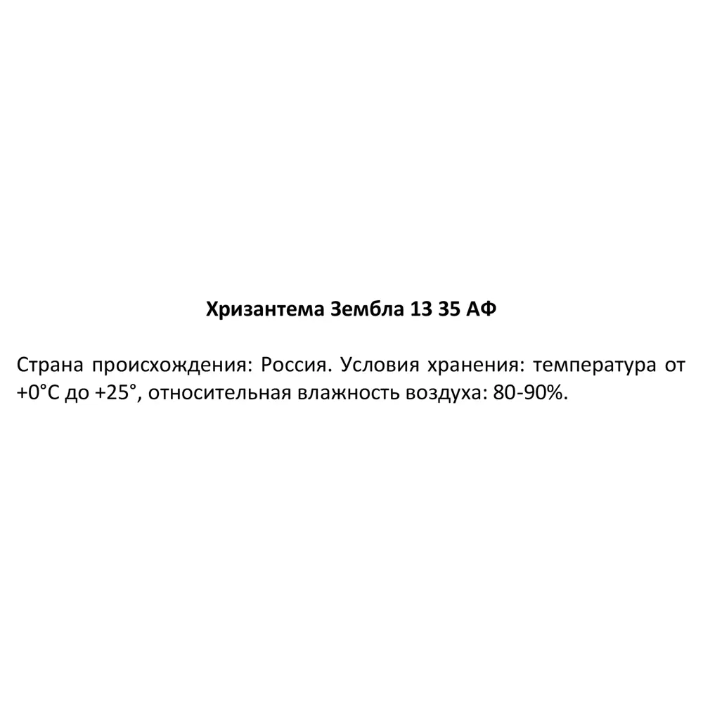 Хризантема Зембла ø13 h35 см 85324989 STLM-2148977 Santreyd  - Вид №7