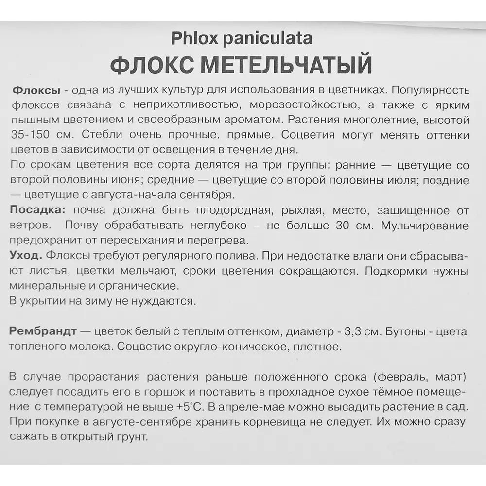Флокс метельчатый Рембрандт луковица I 88294972 STLM-2108145 Santreyd  - Вид №2