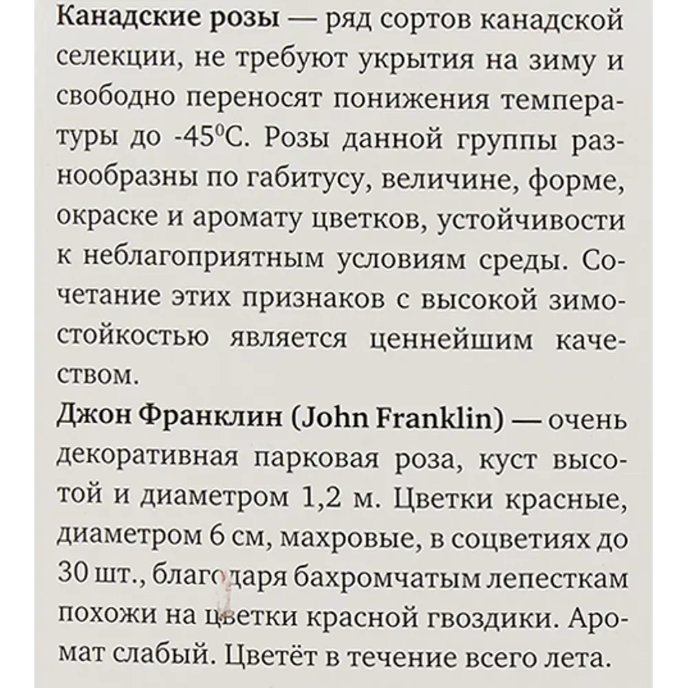 Роза канадская парковая «Джон Франклин» 82150689 STLM-2211396 Santreyd  - Вид №4