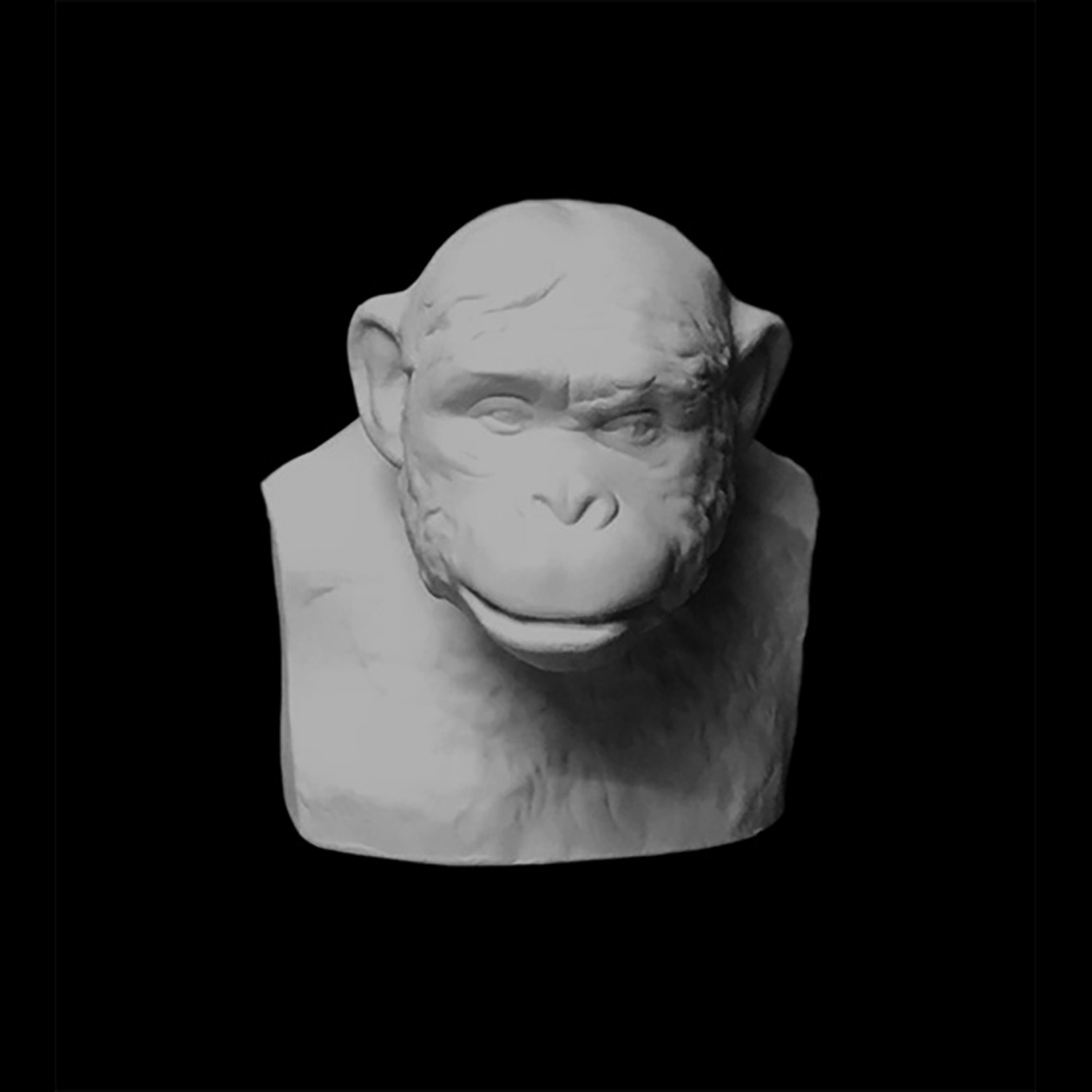 20-252 Бюст Шимпанзе гипс 14х13х15 см Santreyd 