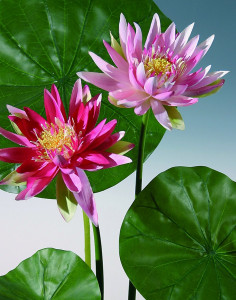 3897 515 a2 Искусственная кувшинка, 65 см, розовая H-andreas