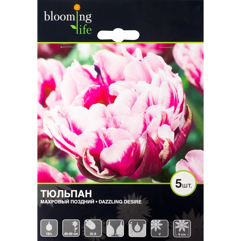 Тюльпан Деззлинг Дизайя 12/plus, 5 шт. 13740227 STLM-2061668 Santreyd 