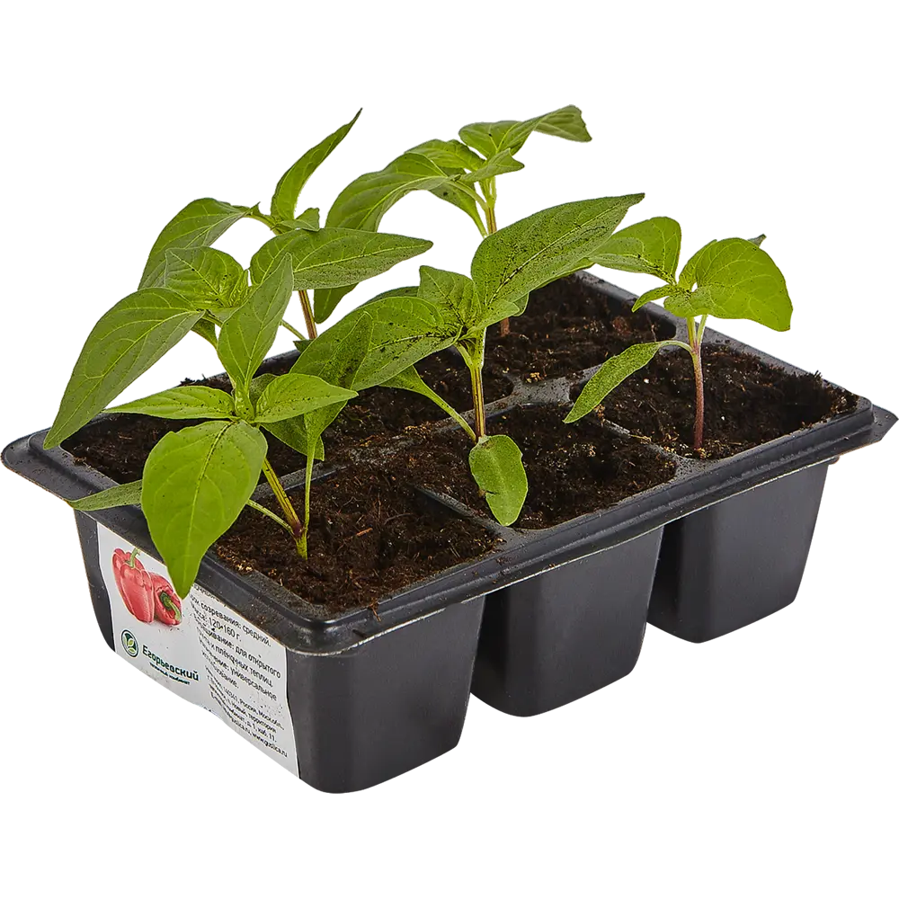 Перец сладкий в кассете 6 шт Поиск Santreyd STLM-2122501 - Вид №2