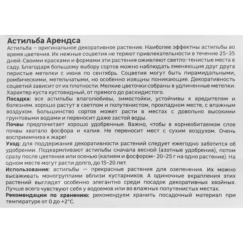 Астильба Арендса Радиус 86408601 STLM-2093867 Santreyd  - Вид №2