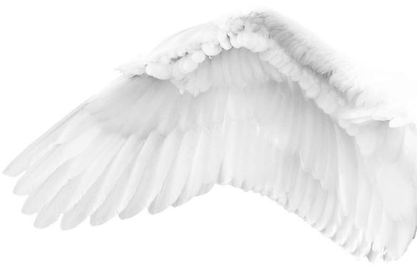 Wall&decò Обои на стену Contemporary wallpaper 2011 sun-id-1463399 - Вид №2