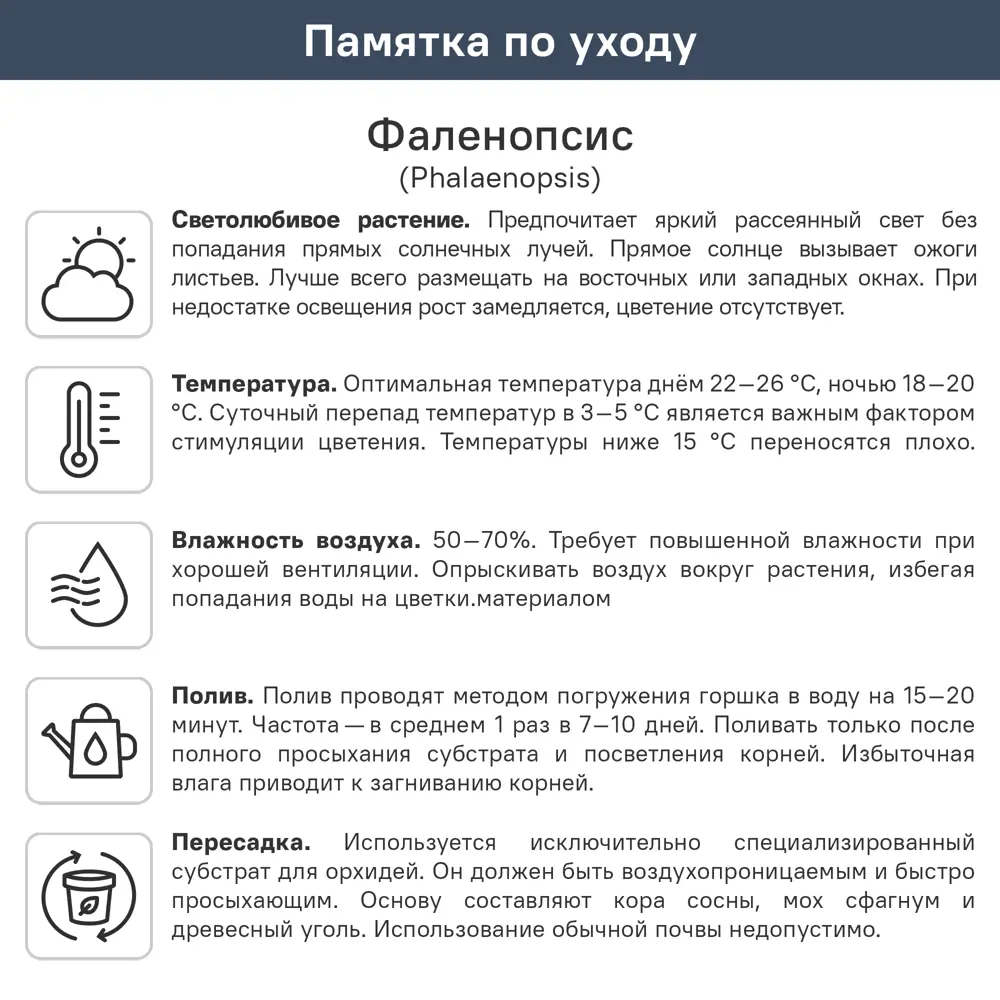 Орхидея Фаленопсис микс ø12 h55 см 85324973 STLM-2066628 Santreyd  - Вид №6