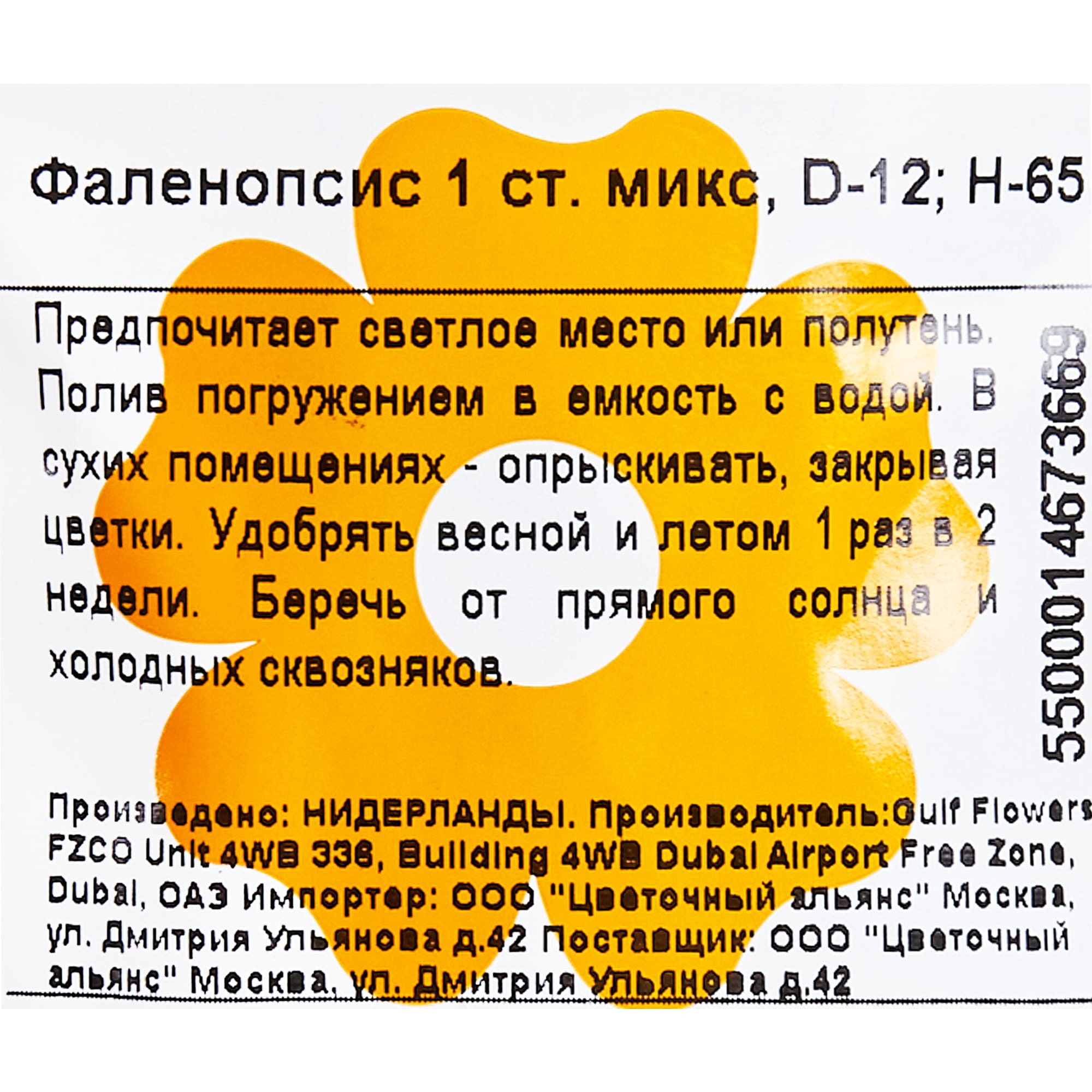 82548560 Орхидея Фаленопсис микс 1 стебель ø12 h75 см Santreyd  - Вид №2