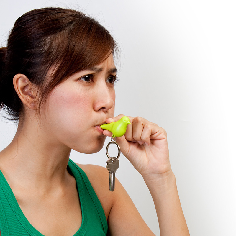 QL10124-WH-WH-BU Держатель для ключей двойной sparrow белый-голубой Qualy  - Вид №2