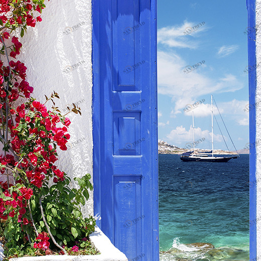 B1-058 Фотообои DIVINO Collection B 2.7х2 м B1058