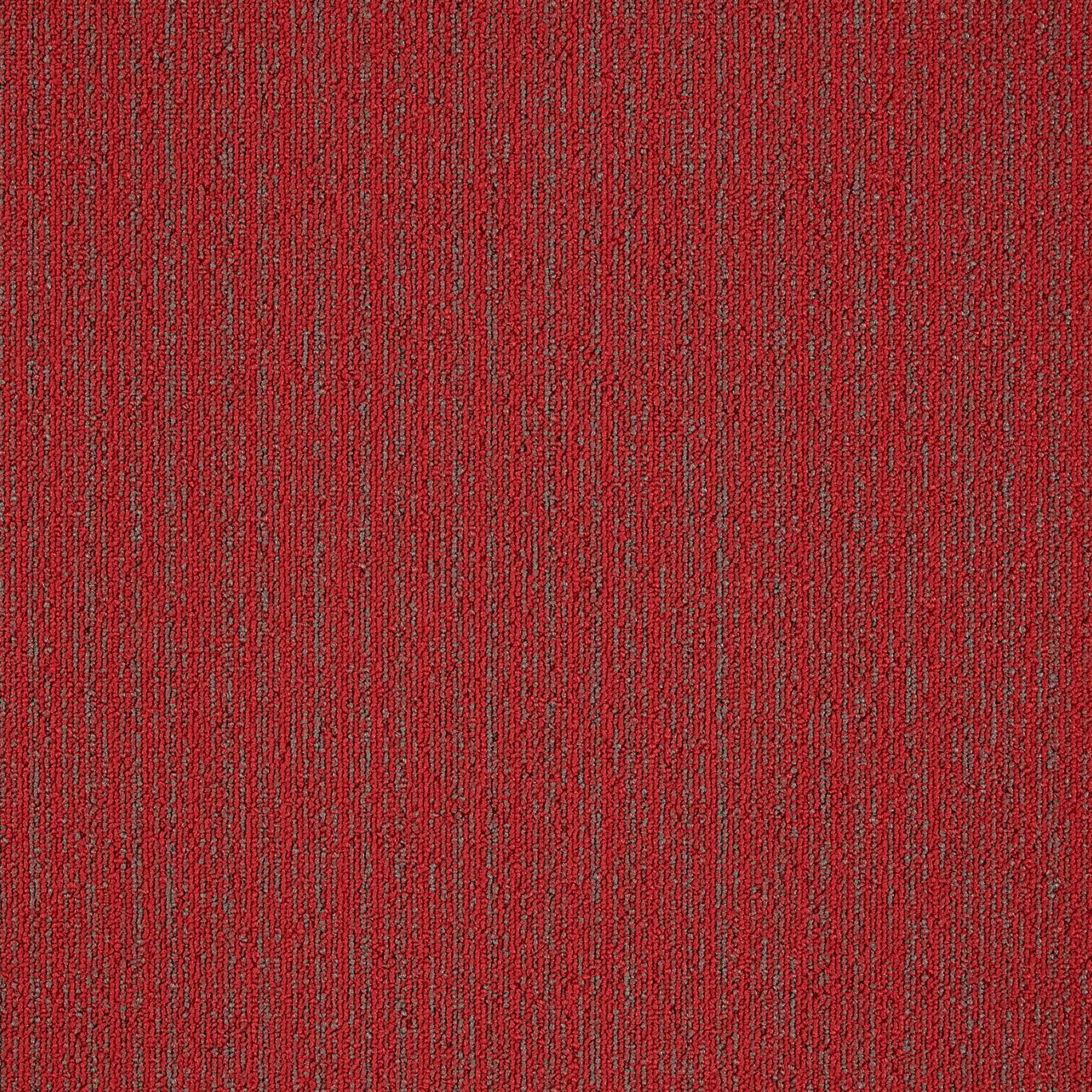 Нейлон®сплошной цвет ковер MODULYSS First ARCH-00082649 - Вид №9