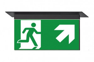 DST-3954 Ikus 2211-m Daisalux Светильники и спец. Черный