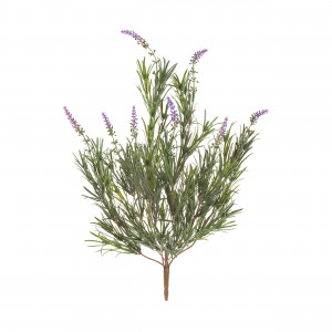 2000983181350 Дикая Лаванда ROOMERS