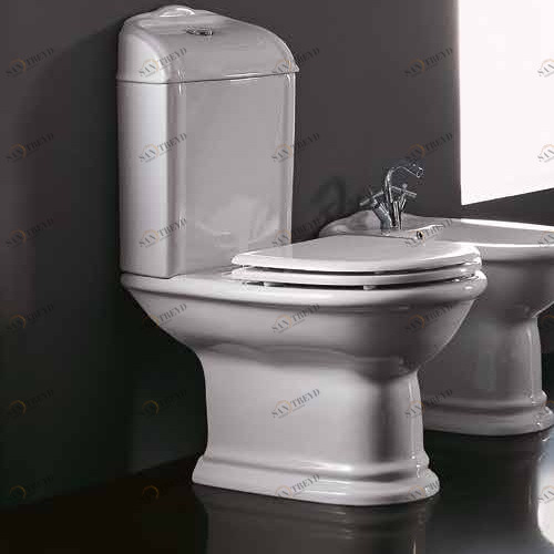 24001 Компакт унитаз с бачком Зеленый Althea Ceramica Сlassic Rose Италия