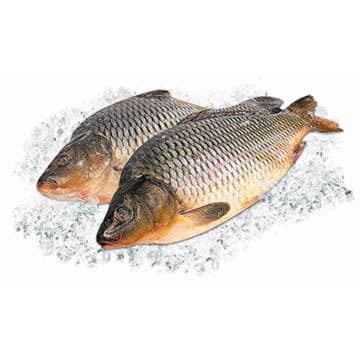 Карп охлажденный ~2 кг Santreyd 25718