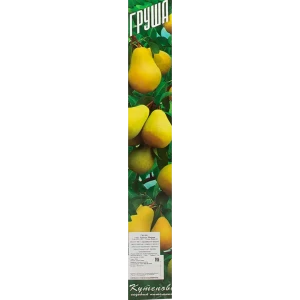 Груша Просто Мария 9x60 см 83539268 STLM-2030952
