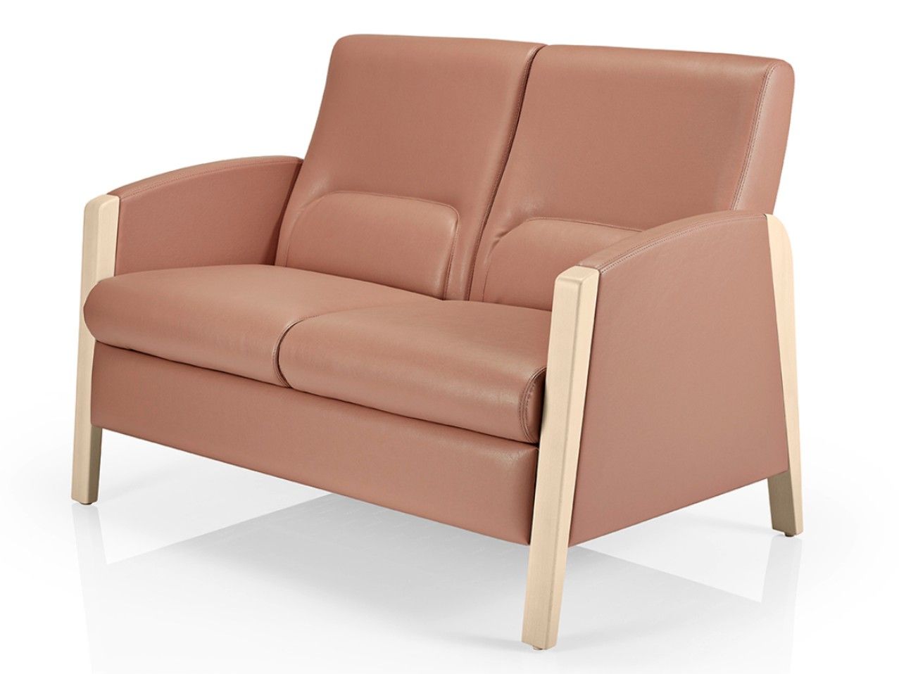 2-местный кожаный диван SIANA Fedra ARCH-00146461