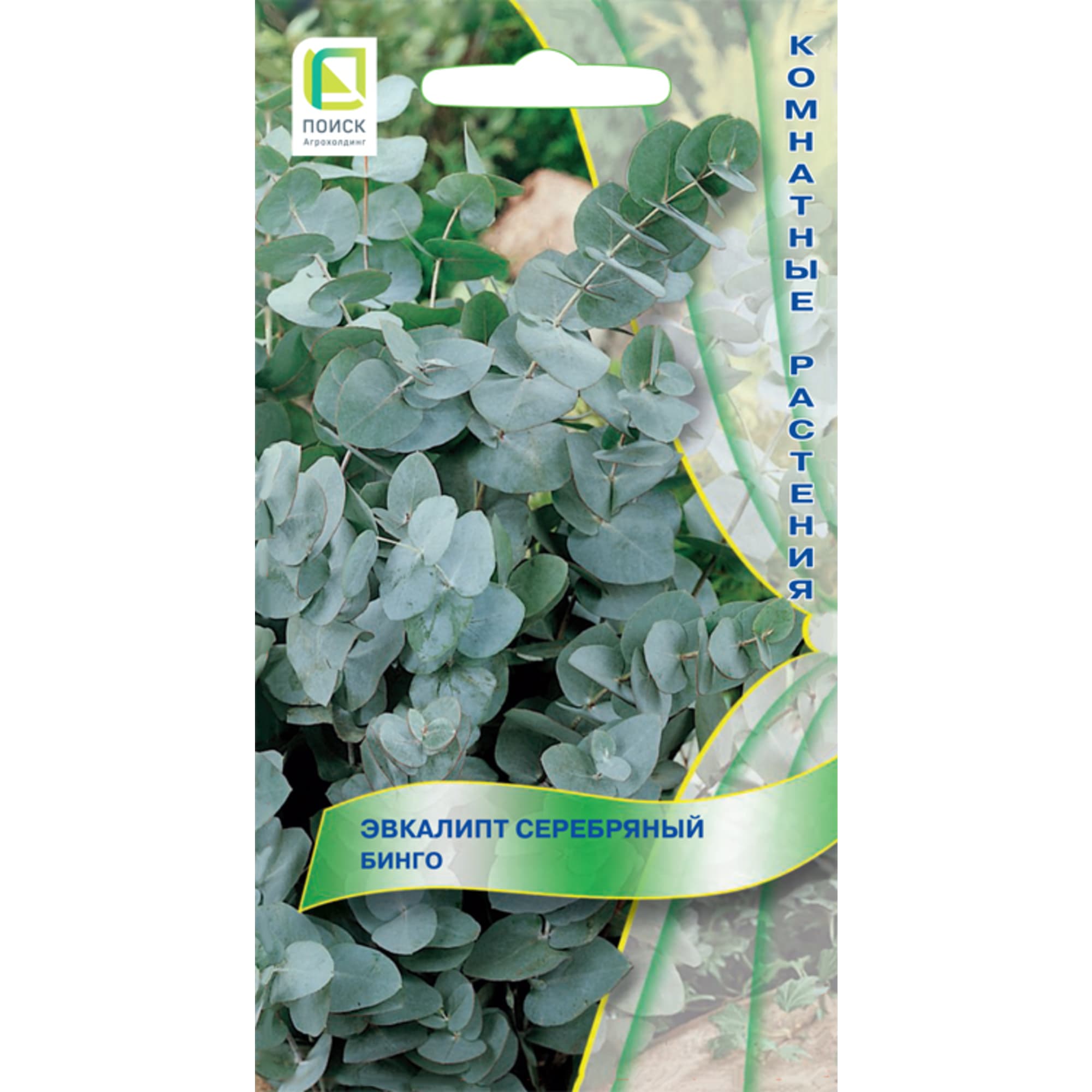 82984210 Семена Эвкалипт серебряный «Бинго» Santreyd 