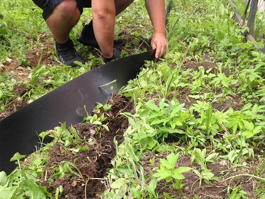 Лента бордюрная 900 мм x 10 м, 2 мм ГеоПластБорд GPBST-36 - Вид №8