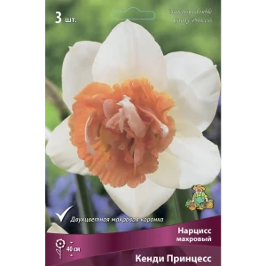 ПОИСК Нарцисс Кенди Принцесс - махровые луковицы для весеннего сада 89381226
