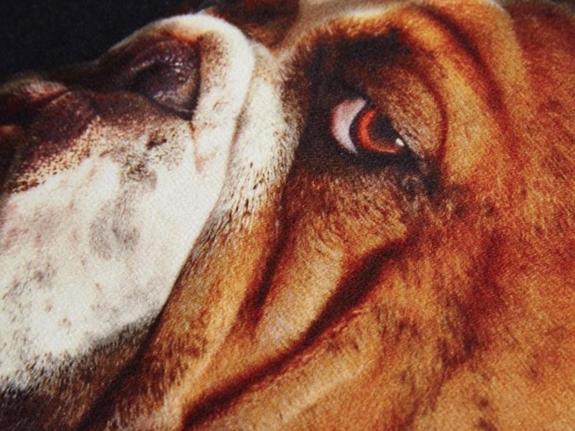 Koziel Квадратная подушка  9997-73  - Вид №1