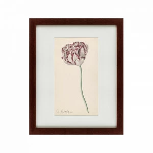 Литография на тонированной бумаге 42х52 см Tulp №2, 1815 КАРТИНЫ В КВАРТИРУ  135616 Бежевый;белый;розовый;разноцветный