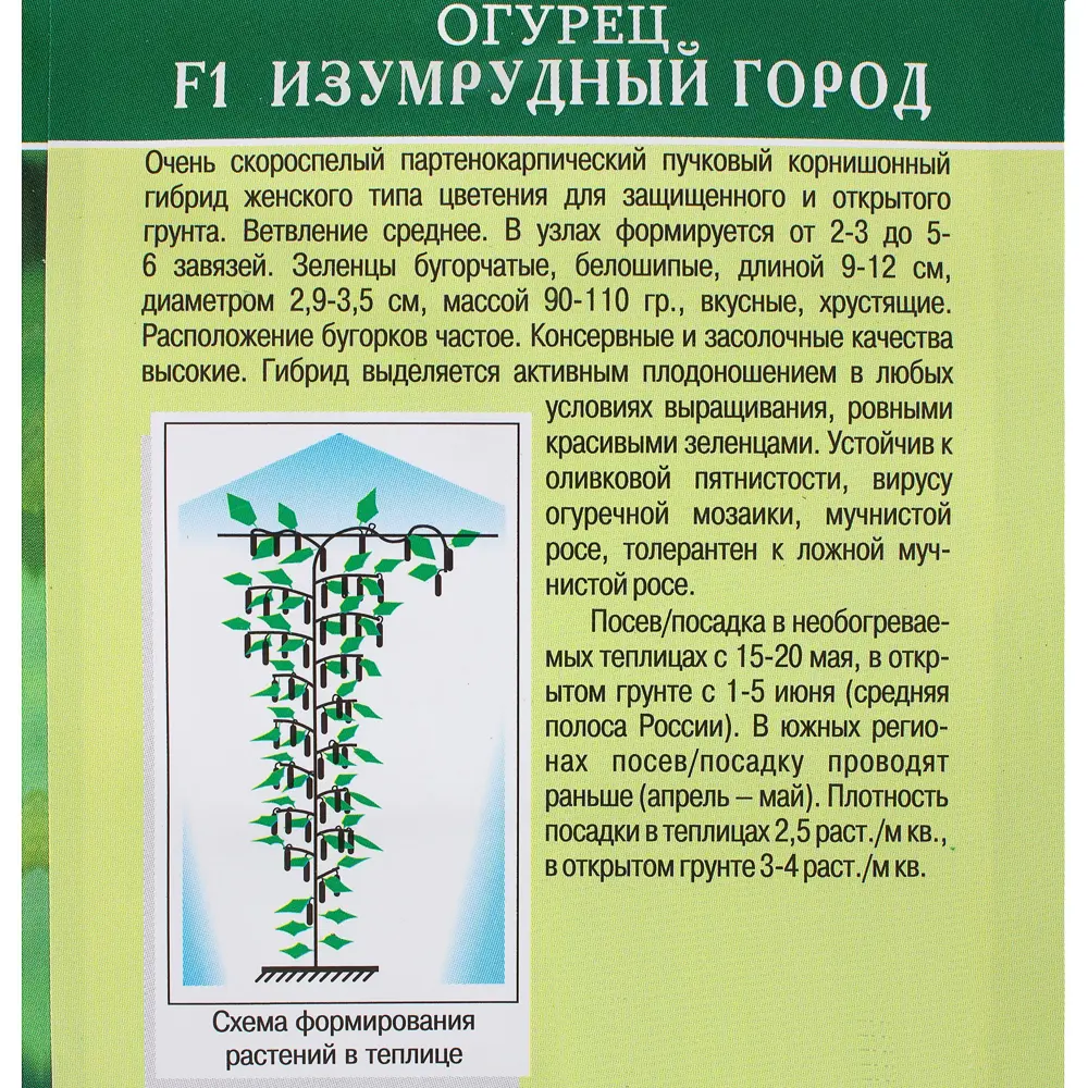 Семена Огурец «Изумрудный город» F1 81932517 STLM-2164851 МАНУЛ  - Вид №2