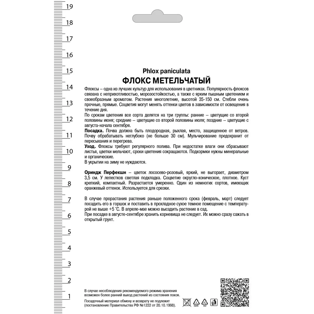 Флокс метельчатый «Ориндж Перфекшн» 82530307 STLM-2168005 Santreyd  - Вид №1