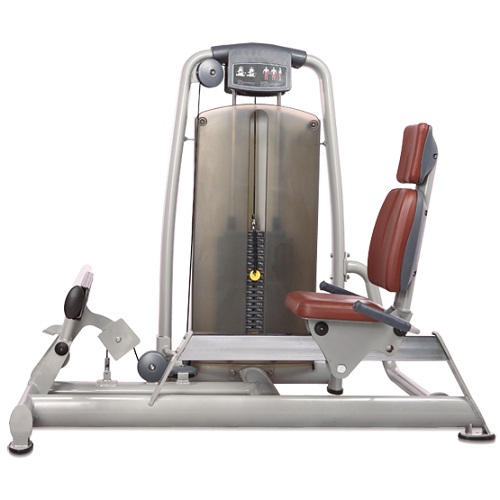 A9-017A Bronze gym a9-017a голень-машина Bronze Gym A серия 