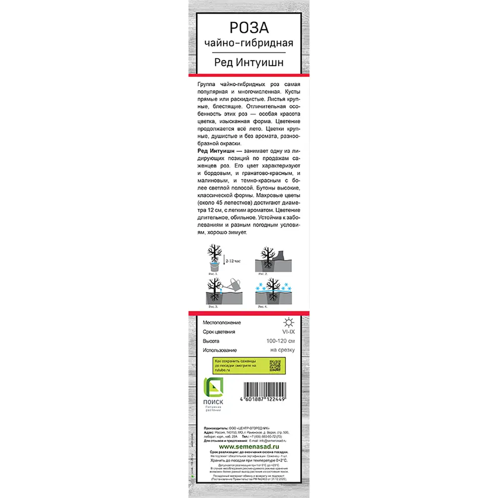Роза чайно-гибридная «Ред Интуишн» 81951238 STLM-2150181 Santreyd  - Вид №5