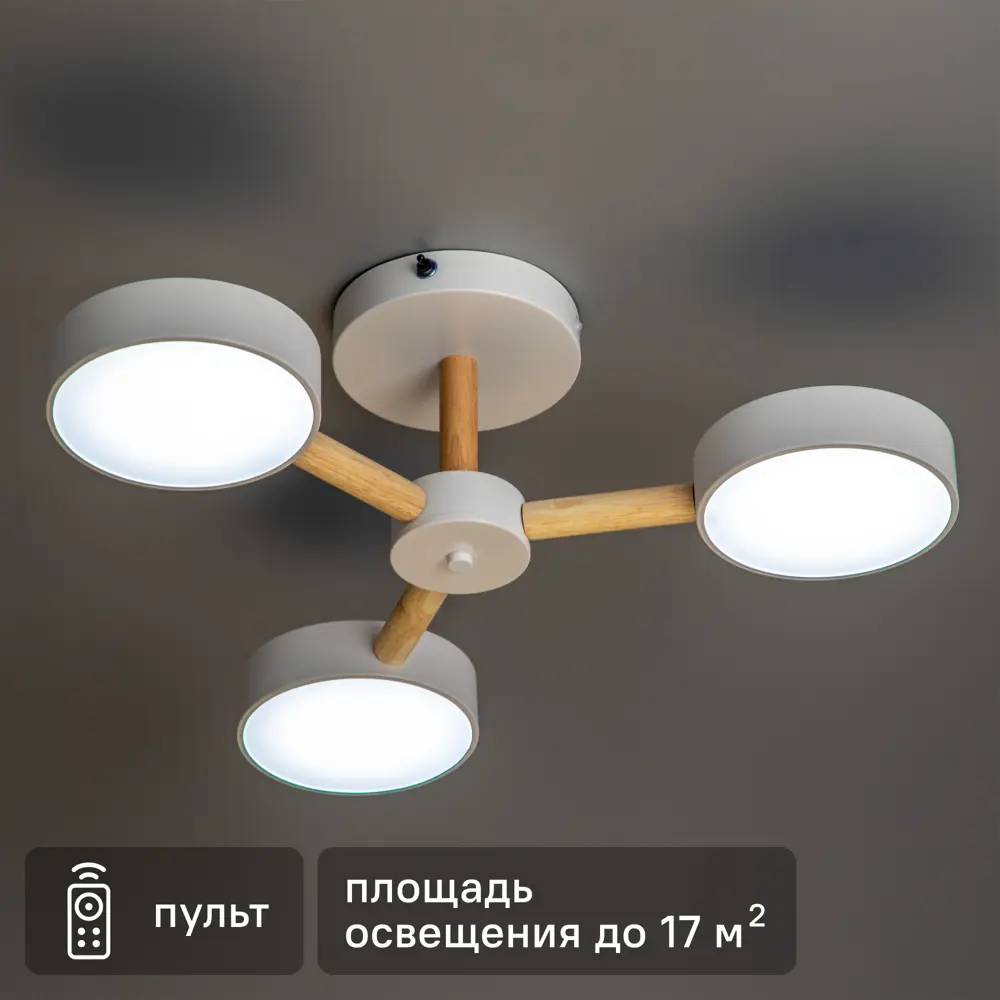 RITTER Люстра Scandia с пультом и регулируемым светом 88333058 STLM-1531893