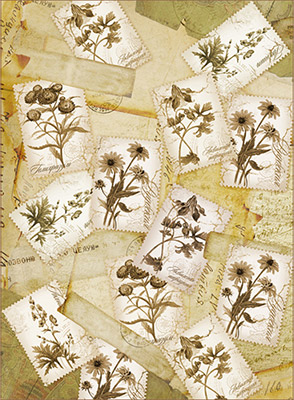 01251 Декупажная карта 21 x 29.7 см СК "Сепия мини" Чип-Арт 