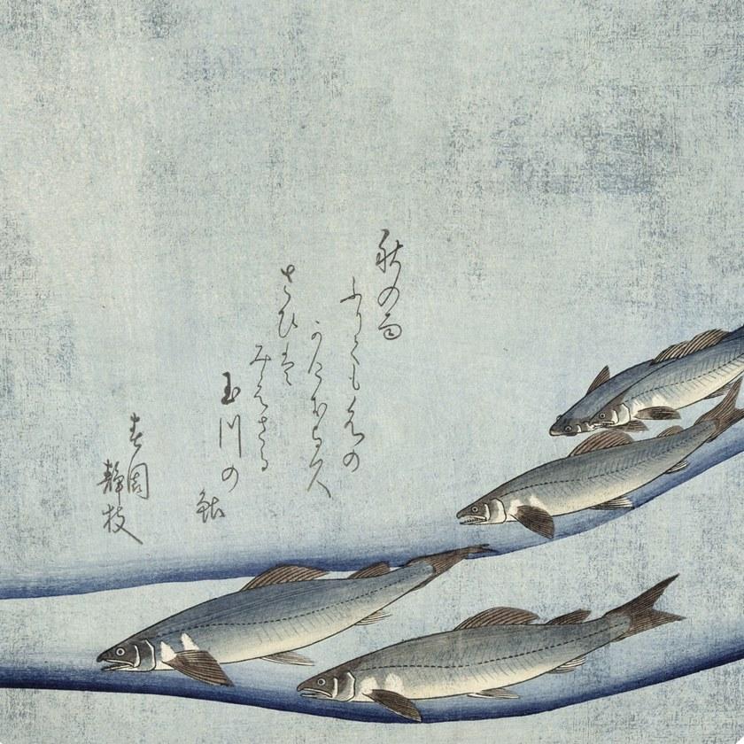 Groovy Magnets Клейкое виниловое украшение  St-60-ja-tr  - Вид №1