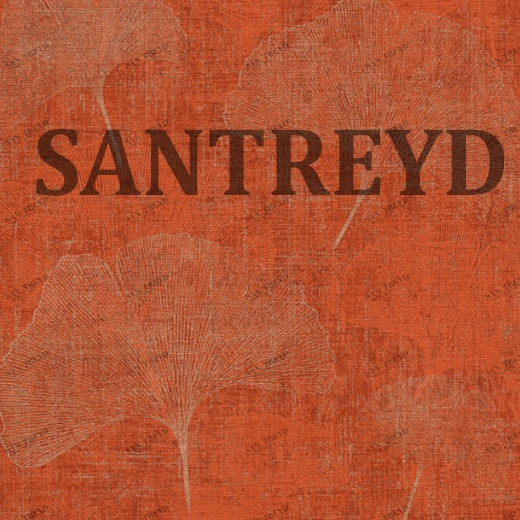 32265-1 Обои A.S. Creation Borneo 322651