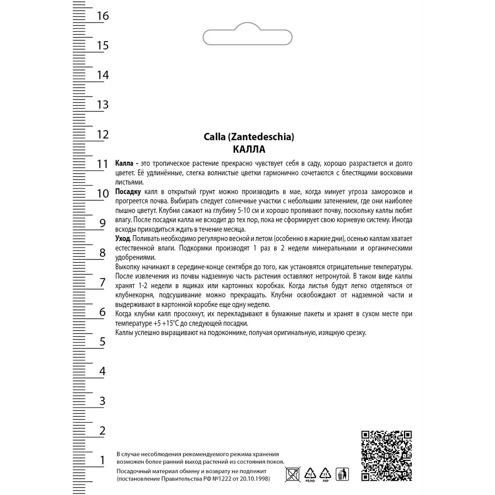 Калла Кэптин Романс 14/16, 1 шт 82530342 STLM-2032279 Santreyd  - Вид №1