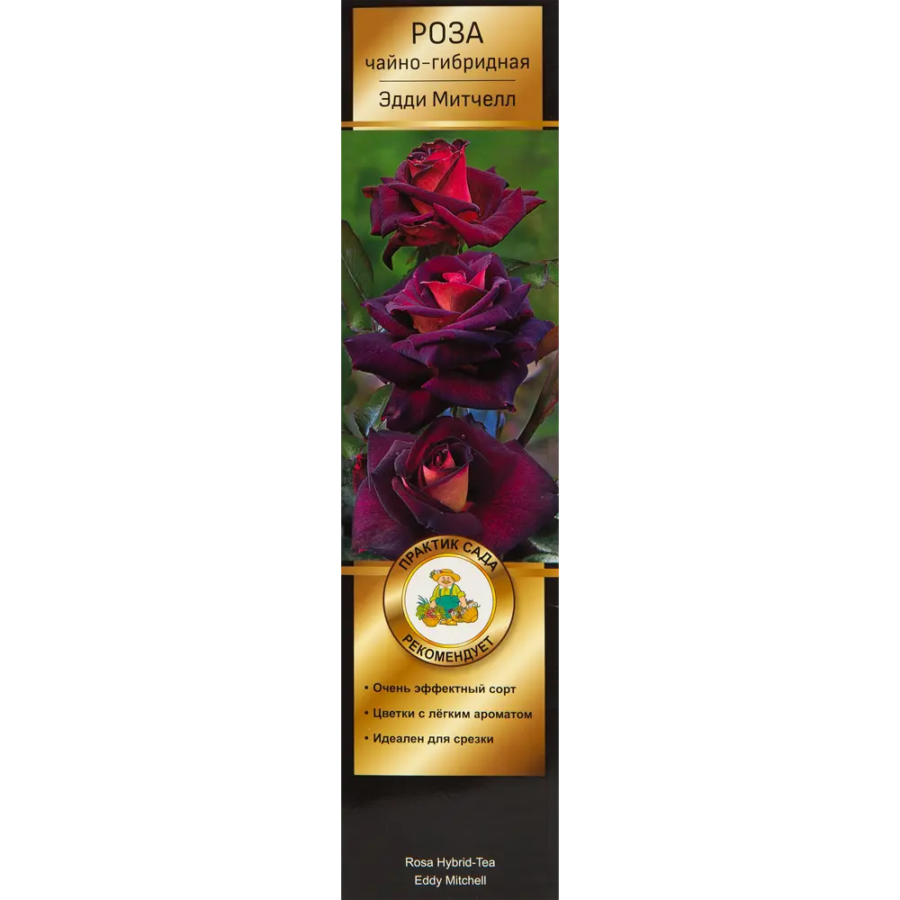 Роза Мейян чайно-гибридная «Эдди Митчел» 82150701 STLM-2096784 Santreyd 