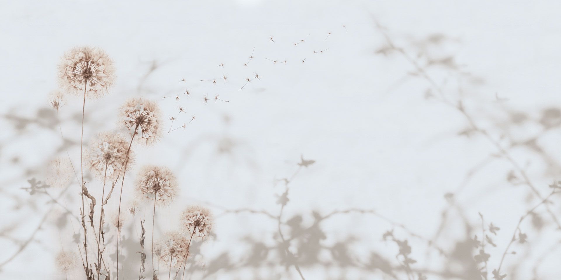 Обои с цветочным узором Rimura 2024 ARCH-00127163 - Вид №5