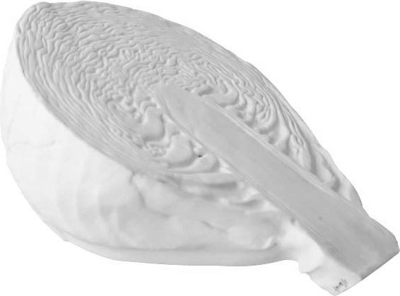 103091 Klimenkoff Дек-е изделие "Половина кочана" мал. Фарфор твердый 