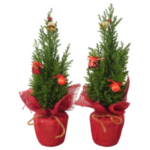 Кипарисовик Элвуда 134 ø9 h35 см 89404476 STLM-2023296
