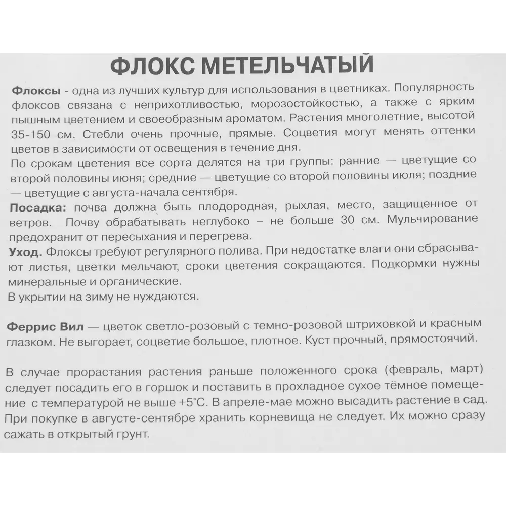 Флокс метельчатый Феррис вил луковица I 88294976 STLM-2063484 Santreyd  - Вид №2