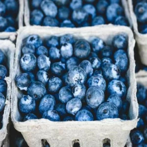 WP01048 Фотообои Verol Фотообои decoline 1х1 м