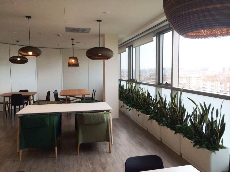 Hobby Flower Прямоугольный горшок из полиэтилена с автоматическим поливом Basic sun-id-1464709 - Вид №1