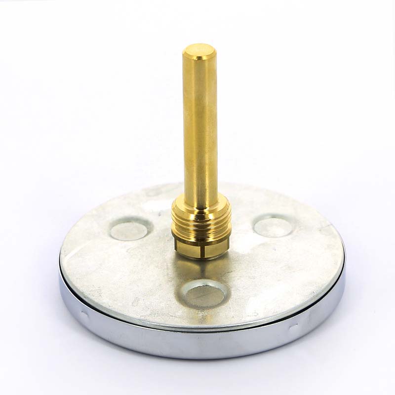 Термометр биметаллический F+R801 100мм с погружной гильзой WATTS Ind 120 град.C гильза 75мм 10006071 - Вид №3